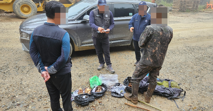 산림특별사법경찰이 가을철 산림 내 불법행위를 단속하고 있다. 산림청 제공