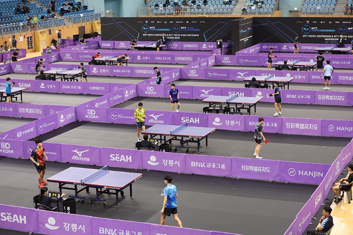 '월드테이블테니스(WTT) 유스 컨텐더 강릉 2026' 경기 모습. 대한탁구협회 