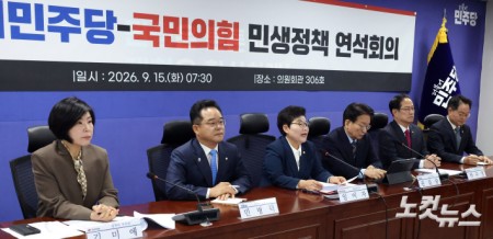 15일 서울 여의도 국회 의원회관에서 열린 더불어민주당-국민의힘 민생정책 연석회의에서 국민의힘 임이자 정책위의장이 발언을 하고 있다.