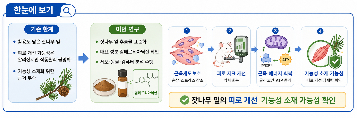 한의학연 제공