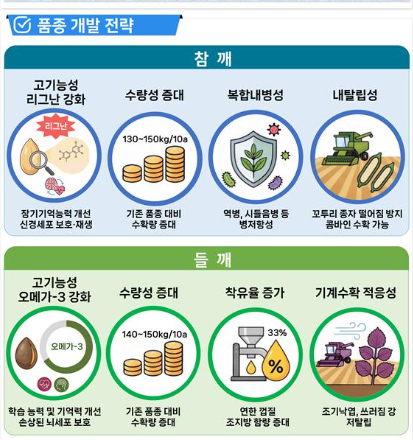 프리미엄 참깨·들깨 신품종 개발 전략. 농촌진흥청 제공