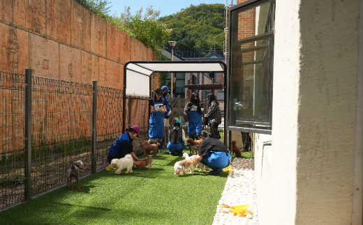 농림축산식품부 제공