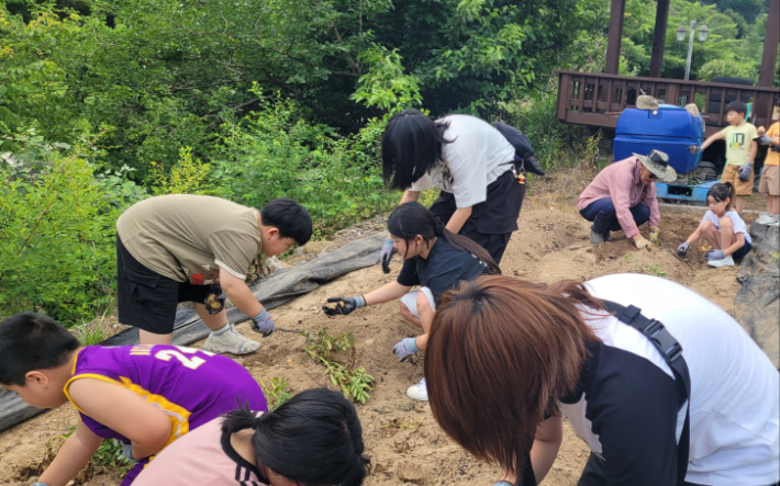 단양교육지원청 제공