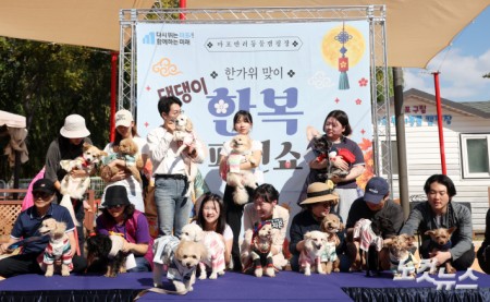 마포구, 한가위맞이 