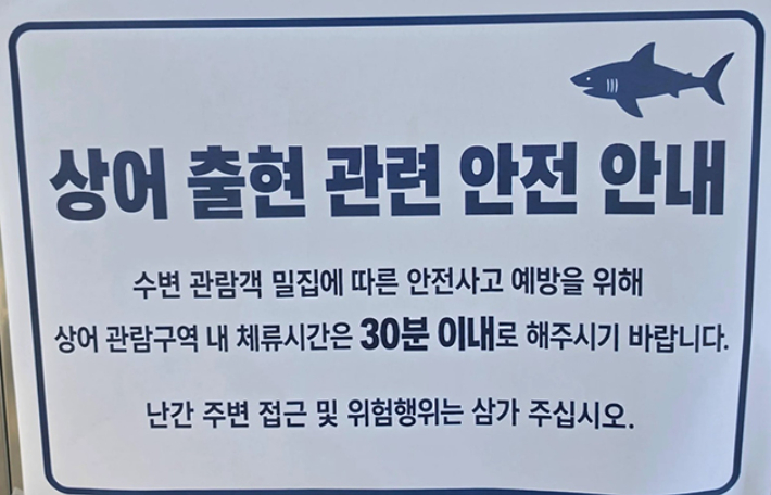 독자 제공