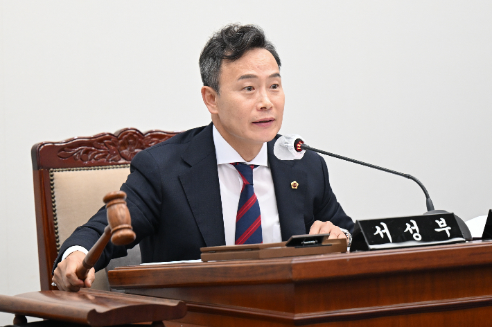 서성부 부산시의회 부울경 특위위원장. 부산시의회 제공