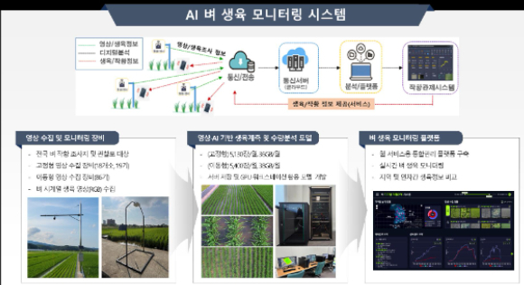 AI 벼 생육 모니터링 시스템 모식도. 농촌진흥청 제공