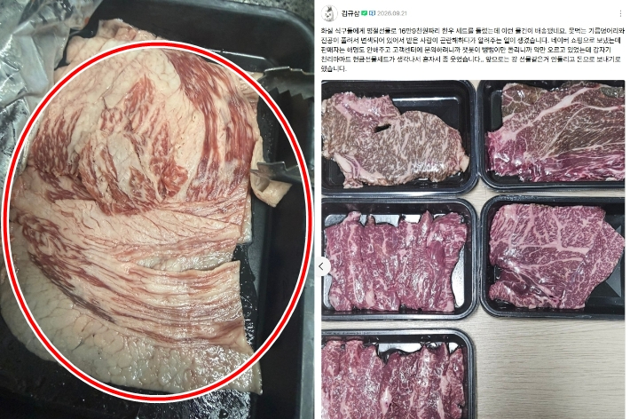 '김규삼 작가' 네이버웹툰 커뮤니티 캡처