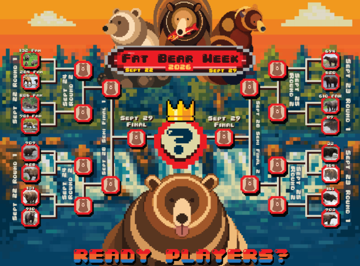 팻 베어 위크(Fat Bear Week) 홈페이지 화면 캡처