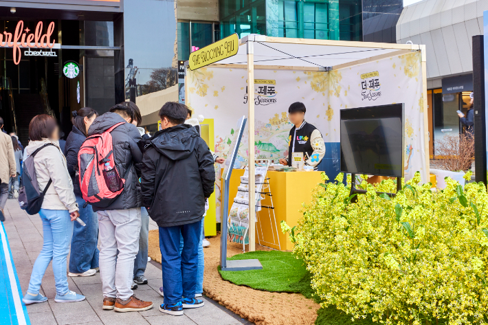 봄 시즌 홍보전시장. 제주관광공사 제공