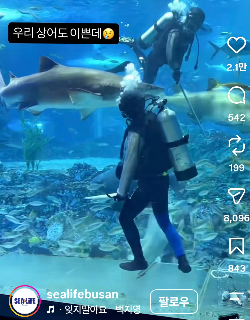 부산아쿠리아리움 SNS 캡쳐