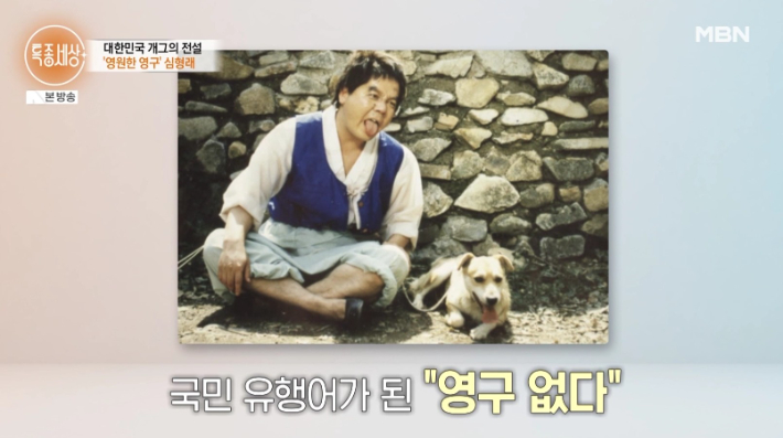 MBN '특종세상' 방송 영상 캡처