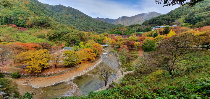 전북 장수 방화동 자연 휴양림. 전북도 제공