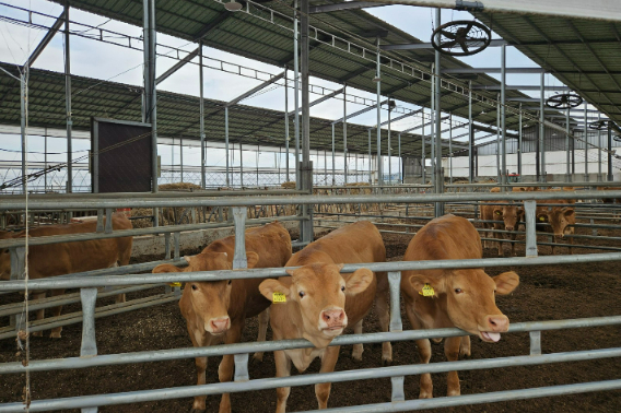 청주시 제공