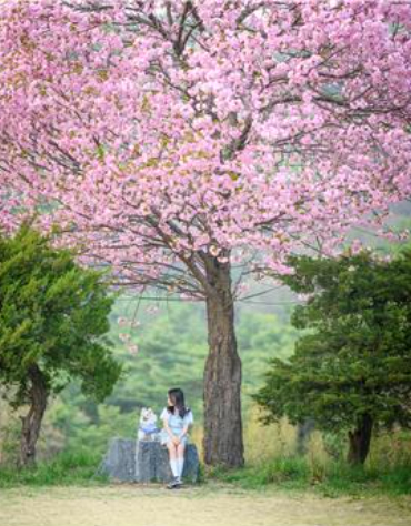농림축산식품부(이하 농식품부)가 추진한 '제19회 동물사랑 사진·영상 공모전'에서 사진 부문 대상을 수상한 '너랑나랑'. 농식품부 제공