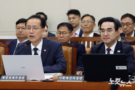답변하는 이형일 경제부총리 겸 재정경제부 장관