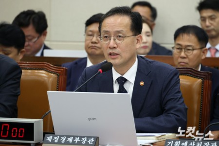 질의에 답변하는 이형일 경제부총리 겸 재정경제부 장관