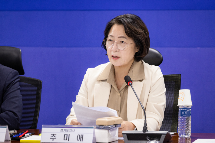 추미애 경기지사가 29일 국회에서 열린 '미래대응기금 조성 및 지방교부세 개편 당정협의회'에서 발언하는 모습. 경기도 제공