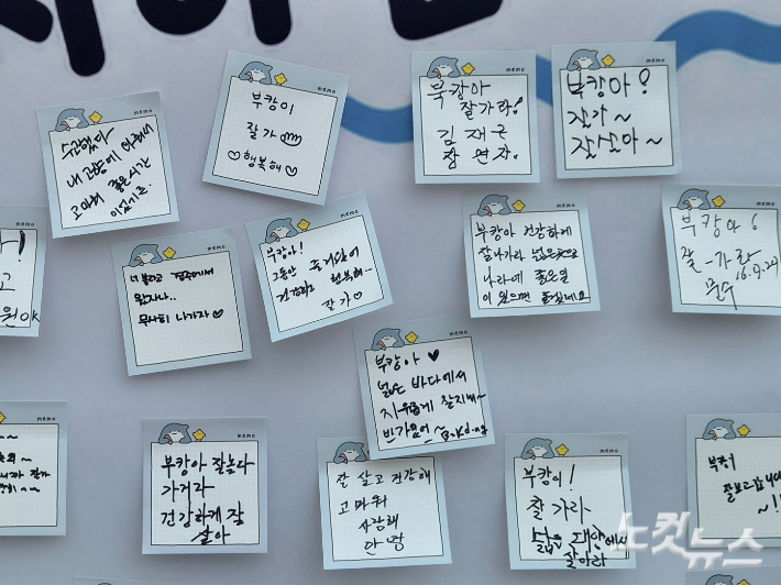 시민들이 상어 '부캉이'에게 남긴 인사. 정혜린 기자