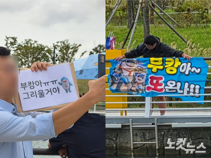 29일 오전 부산 북항 친수공원에서 상어 '부캉이'를 외해로 유도하는 작업이 진행되자, 시민들이 아쉬움을 드러내고 있다. 정혜린 기자