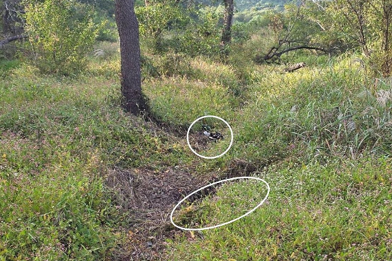 28일 서울 용산구 국방부에서 열린 합참 '비무장지대 지뢰 추정 폭발 사고' 브리핑에서 공개된 '지뢰 폭발 화구' 사진. 합동참모본부 제공