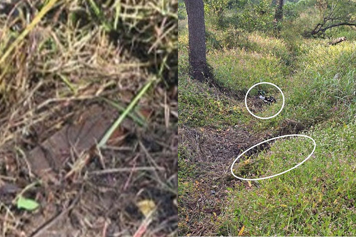 현장조사팀이 발견한 북한 지뢰. 오른쪽은 합참이 공개한 지뢰폭발 화구 사진. 연합뉴스
