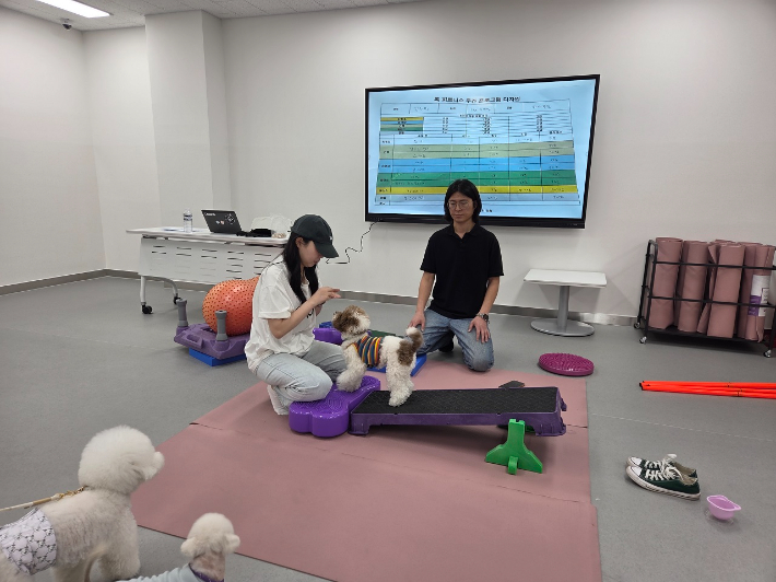 반려견과 보호자가 순천시 반려동물문화센터에서 독피트니스 교육에 참여하고 있다. 순천시 제공 