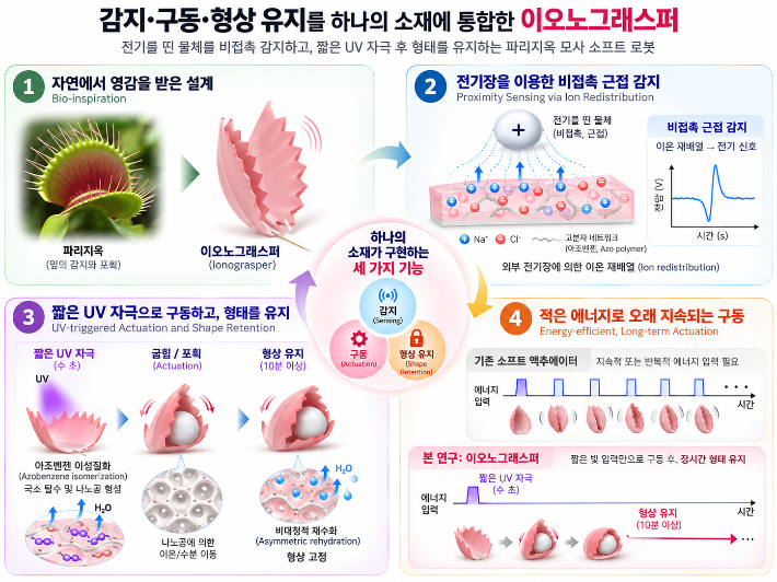 연구 모식도. KAIST 제공