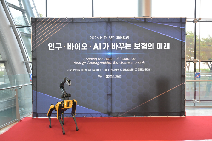 보험개발원 제공