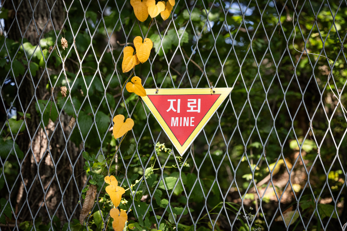 30일 경기도 연천군 서부전선 비무장지대(DMZ) 민간인통제선 지역에 지뢰 경고 표지판이 설치되어 있다. 연합뉴스