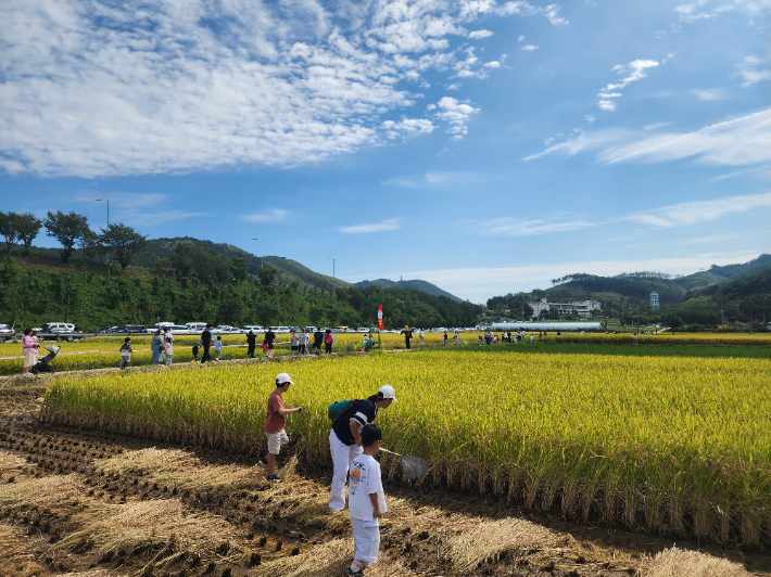  동해시는 오는 3일 오전 10시부터 오후 4시까지 망상뜰 일원에서 '제7회 망상 메뚜기 축제'를 개최한다. 동해시 제공