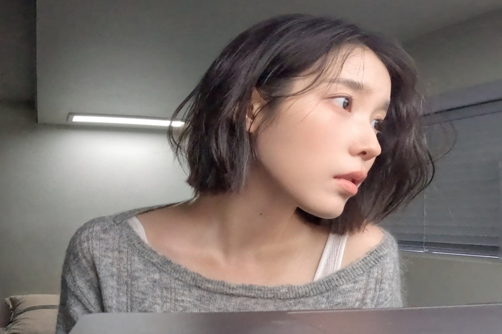 가수 겸 배우 아이유. 아이유 공식 트위터