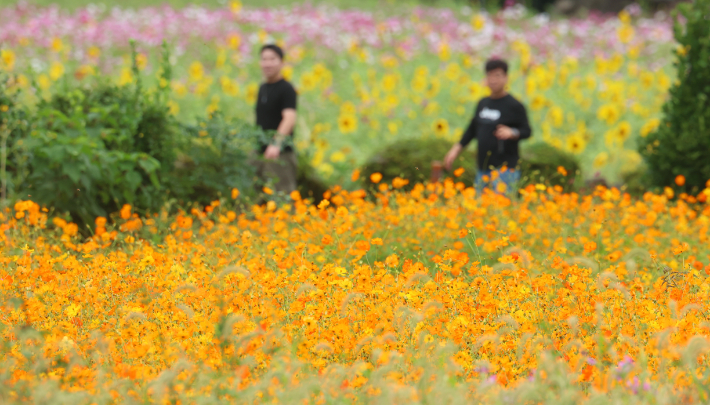연합뉴스