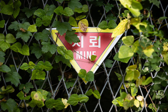 경기도 연천군 서부전선 비무장지대(DMZ) 민간인통제선 지역에 지뢰 경고 표지판이 설치되어 있다. 연합뉴스