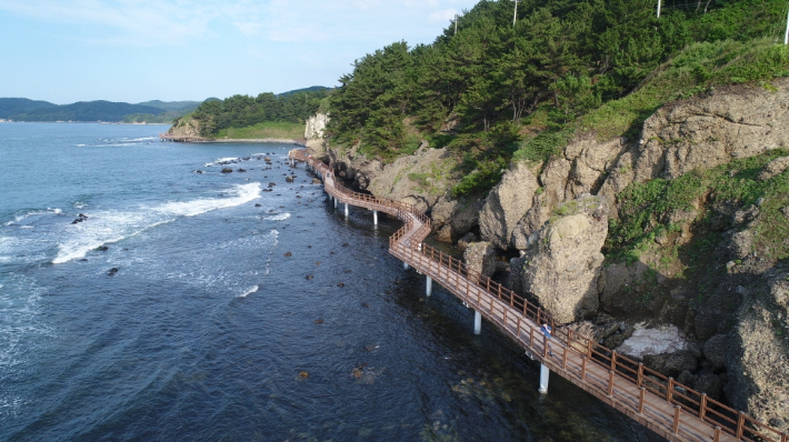 호미반도 해안둘레길. 포항시 제공