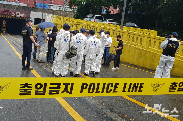 박진홍 기자