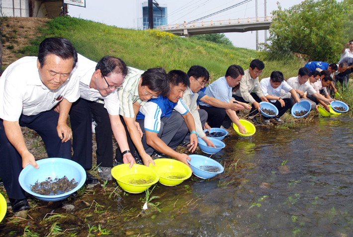 현대자동차 울산공장 동남참게, 각시붕어 치어 방류 행사. 현대차 제공