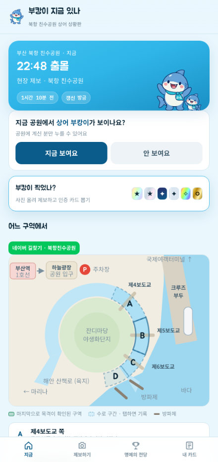 부캉이 지금 있나 서비스 화면. 국립부경대 제공