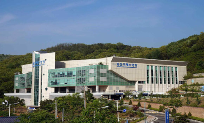용운국제수영장. 대전시 제공
