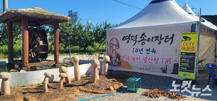 박정노 기자