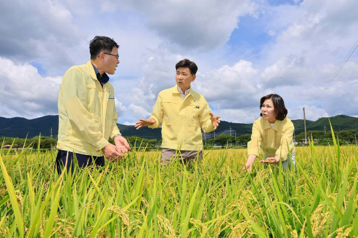김철우 보성군수(가운데). 보성군 제공  