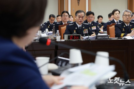 김종철 경찰청장 직무대행이 12일 서울 서대문구 경찰청에서 열린 국회 행정안전위원회 경찰청 대상 국정감사에서 위원들의 질문에 답변하고 있다.
