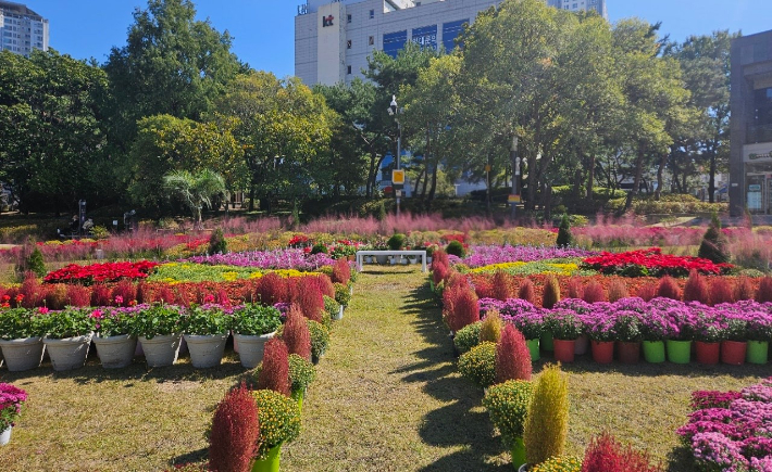 대전 중구 제공