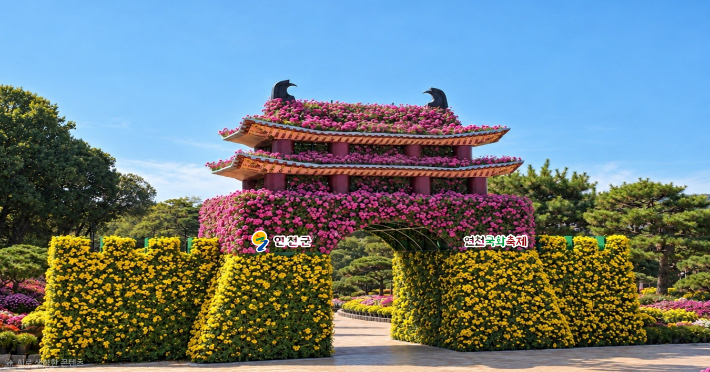 연천국화축제. 연천군 제공