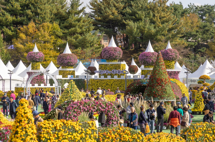 2025년 익산 천만송이 국화축제. 익산시 제공