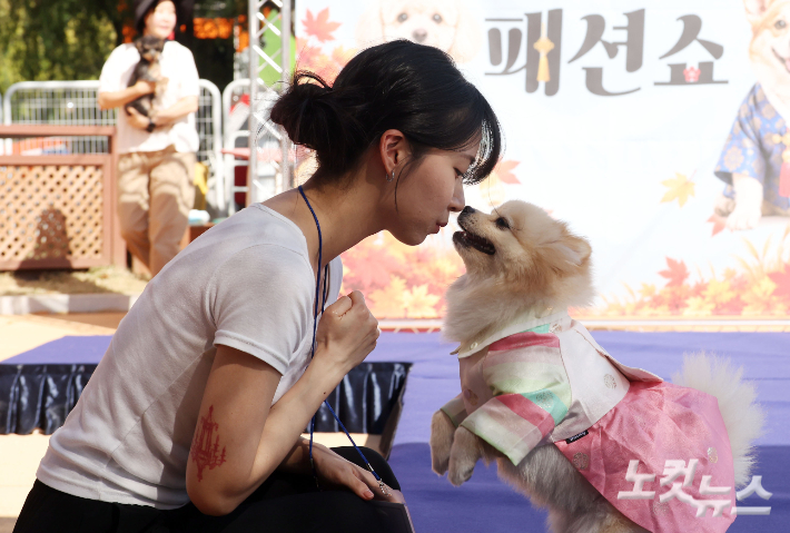 황진환 기자