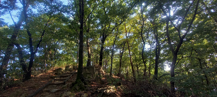 강북구 수유동 산 123-13번지 일대. '강북구 북한산 숲 훼손하는 한옥마을 반대 주민대책위원회' 제공
