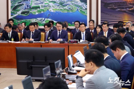 국정감사 질의에 답변하는 답변하는 이헌욱 한국부동산 원장