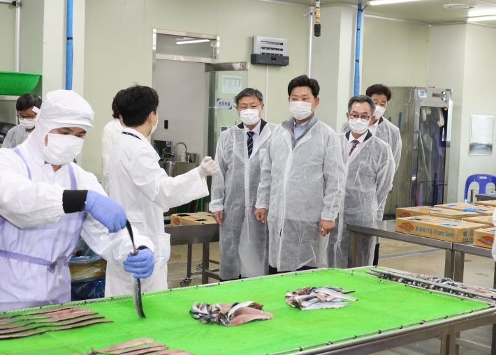 포항시가 본격적인 과메기 출하 시기를 앞두고 16일 남구 구룡포읍 과메기 가공시설을 방문해 생산 준비 상황과 원료 수급 여건을 점검했다. 포항시 제공