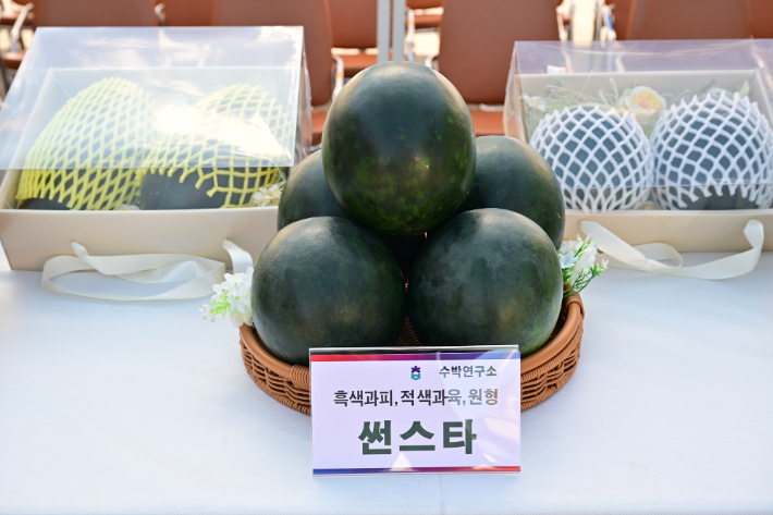 충청북도농업기술원 수박연구소 제공